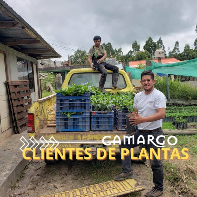 CLIENTES DE PLANTAS - Vid Camargo