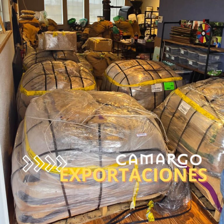 EXPORTACIONES (1) - Vid Camargo