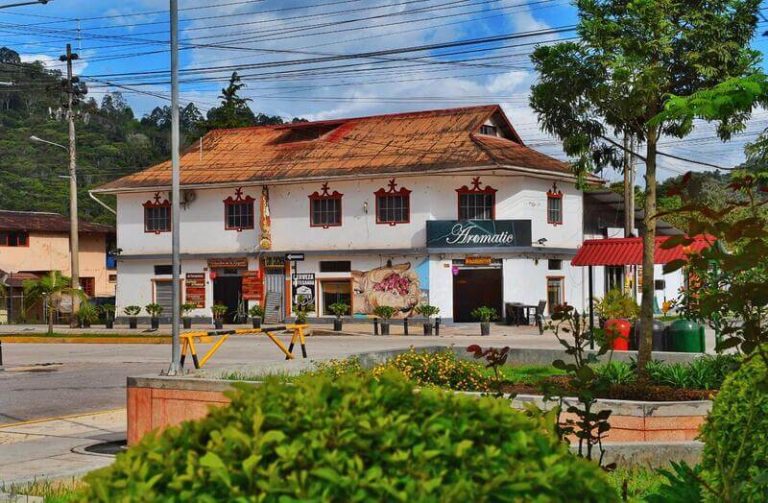 WhatsApp Image 2025-01-27 at 2.37.08 PM (1) - cecy rivas