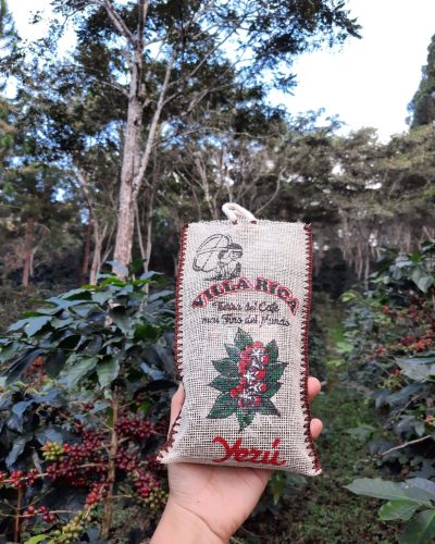 20210627_165949 - Cattleya Mercado (1)-min