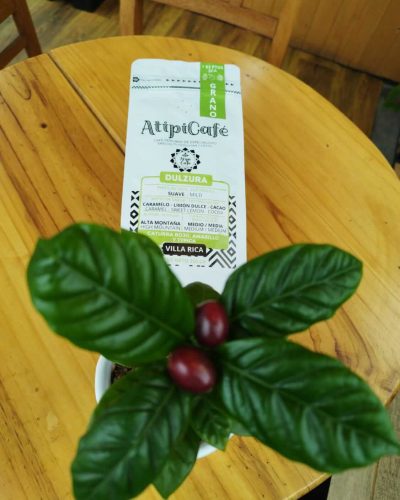 DULZURA - ATIPICAFE PERU