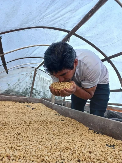 FOTO DE SABINO - Hubert De La Cruz Montoya