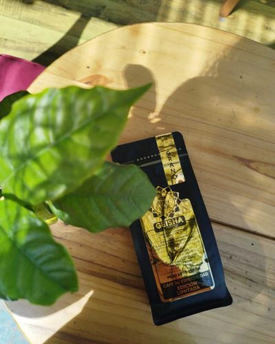 GEISHA - ATIPICAFE PERU