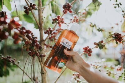 Magia de Liz033 - vanesa egg