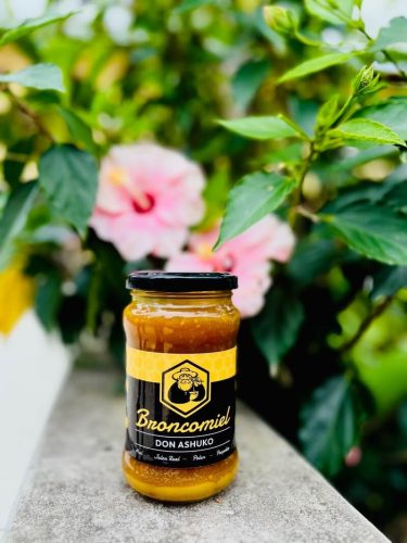 SAVE_20250407_143123 - Jazmin Nano