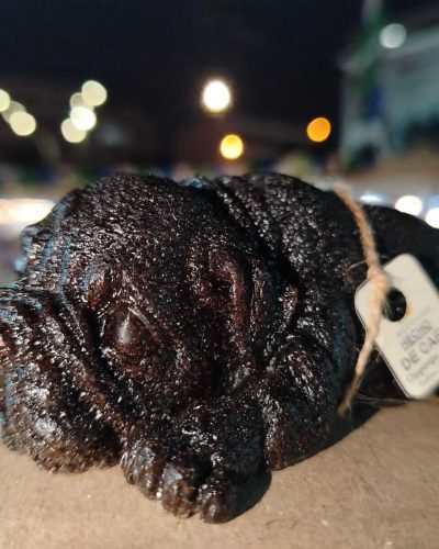 WhatsApp Image 2024-12-06 at 9.54.27 PM (1) - Emilly Ortiz