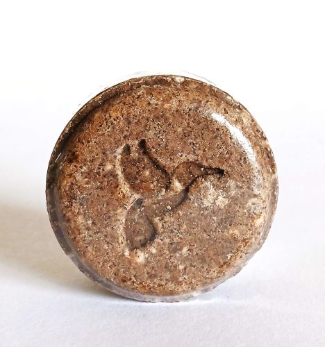 WhatsApp Image 2025-01-06 at 1.59.39 PM (1) - Johanna Schuler